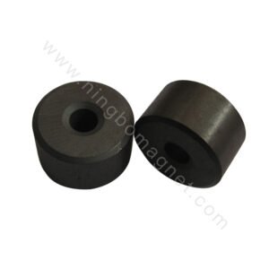 Rotary Ferrite Magnet Used For Pump Motors